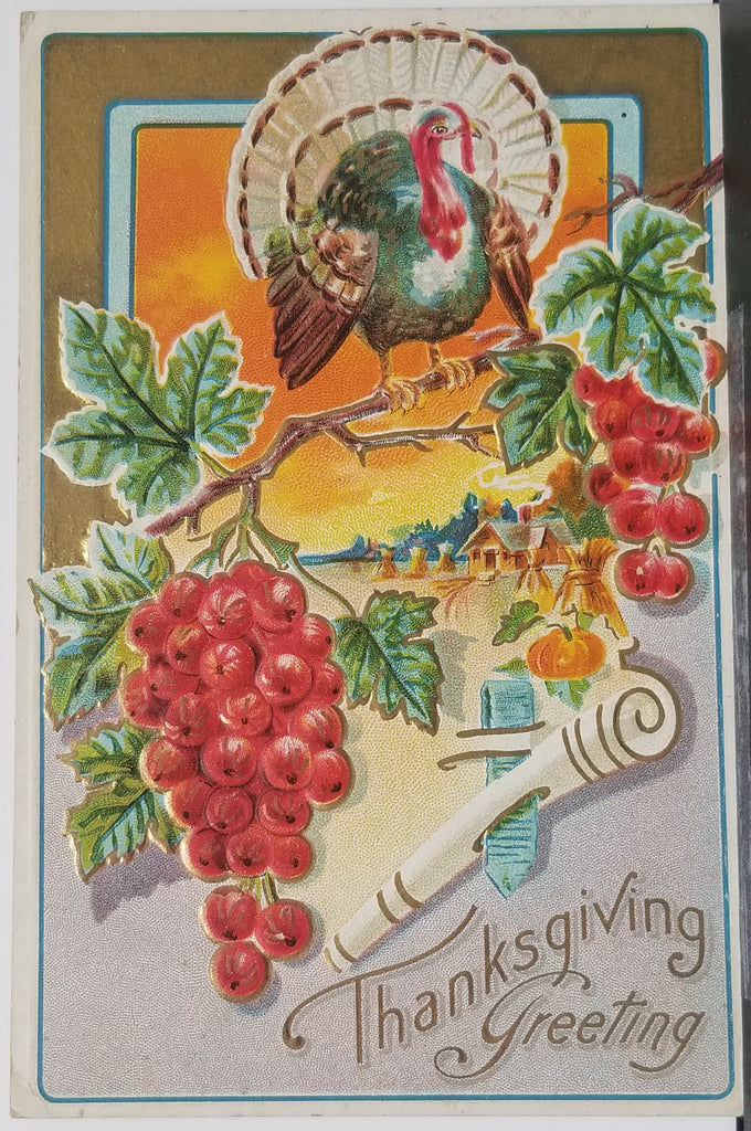 Thanksgiving Postcard Embossed Turkey on Hanging Grapes Silver Background