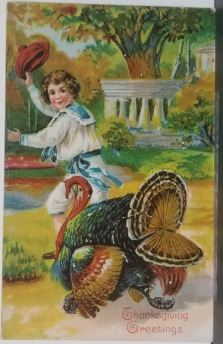 Thanksgiving Postcard Little Boy with Turkey in Lawn Gold Embossed Series 730