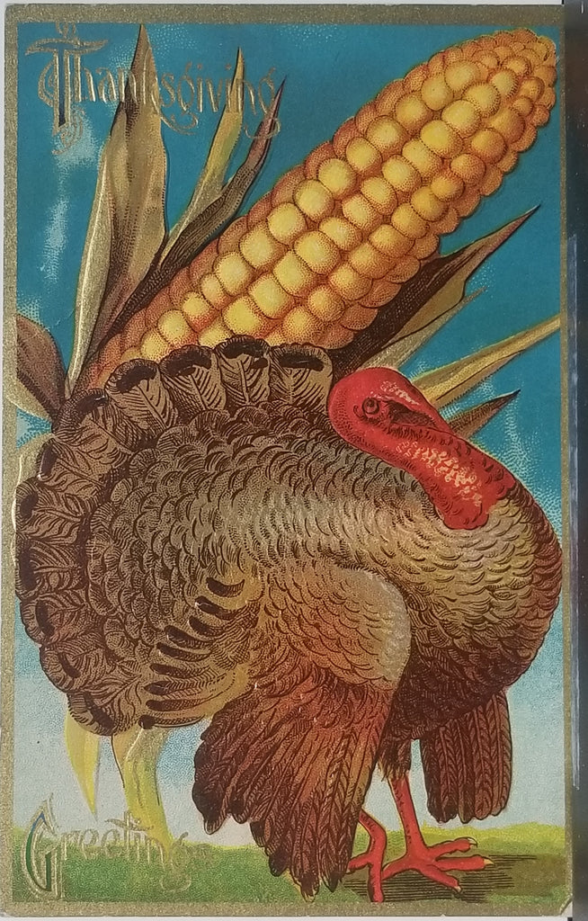 Thanksgiving Postcard Corn Cob Blue Background Embossed Card