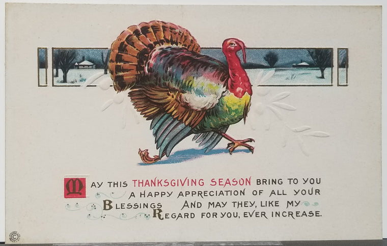 Thanksgiving Postcard Embossed Card Turkey with Winter Landscape Series 70