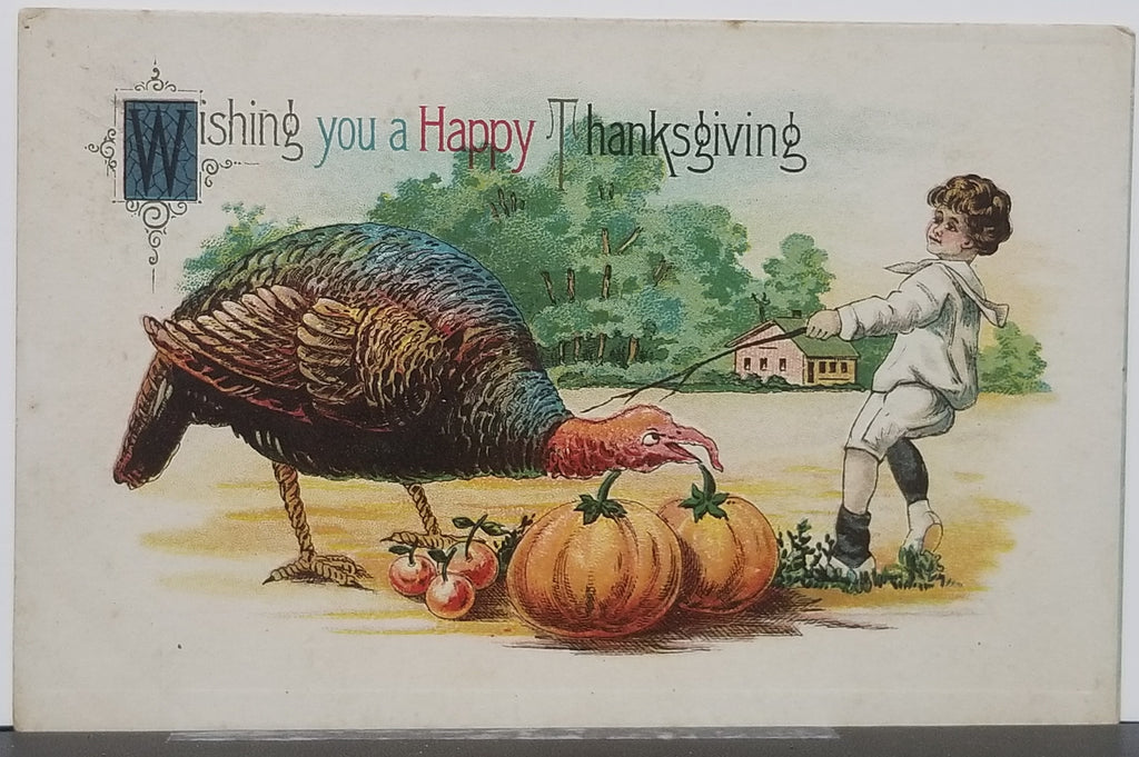 Thanksgiving Postcard Embossed Card with Boy Poking Stick at Giant Turkey in Garden Series 623