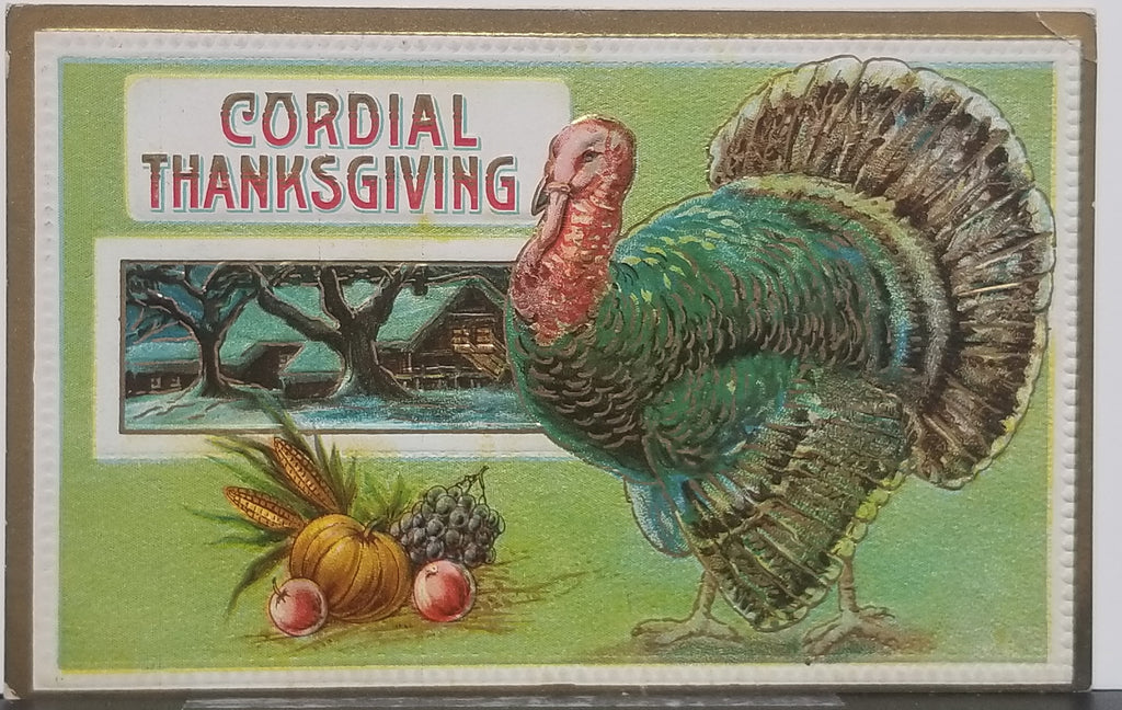 Thanksgiving Postcard Embossed Card Turkey in Landscape with Fruit 33B