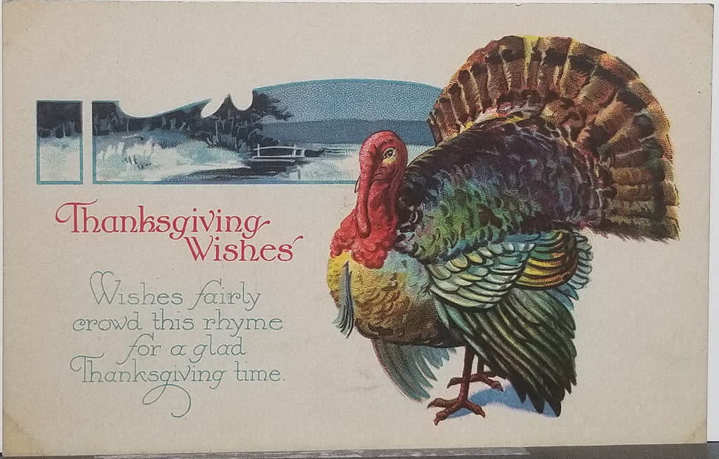 Thanksgiving Postcard Embossed Card Turkey with Winter Landscape Series 532 D