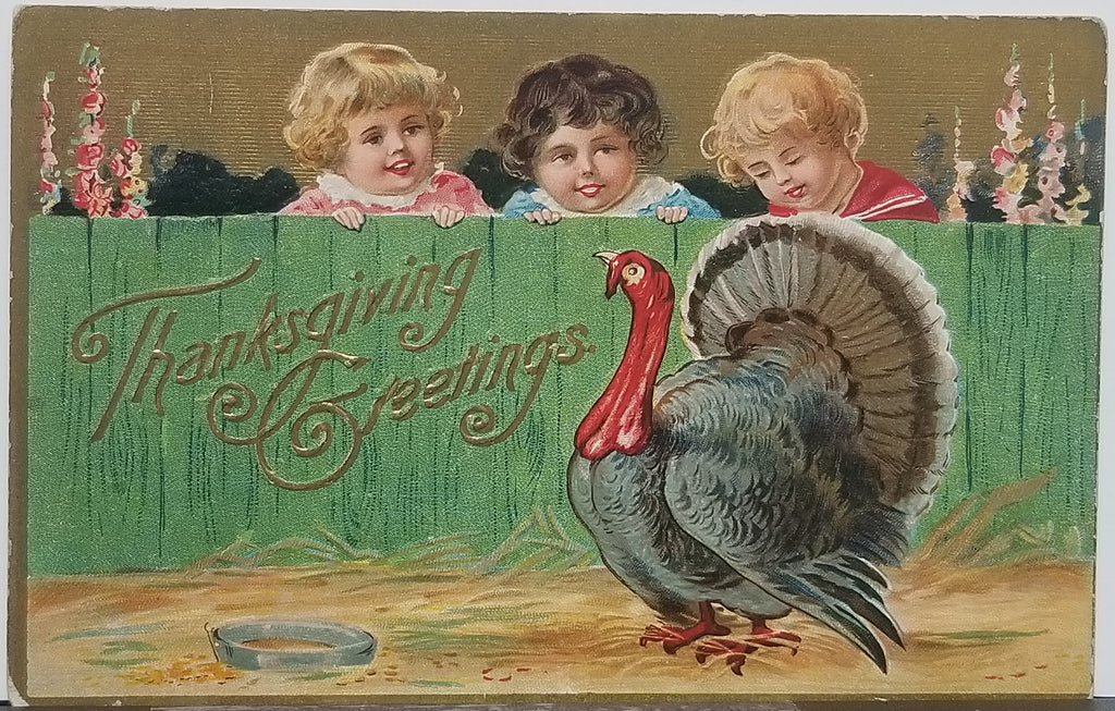 Thanksgiving Postcard Embossed Card Small Children Watching a Turkey Over the Fence Series 14