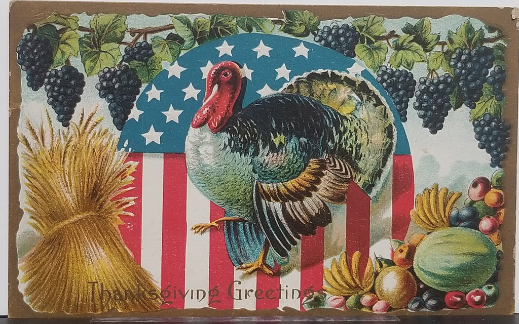 Thanksgiving Postcard Embossed Card Turkey in Landscape with American Flag Shield