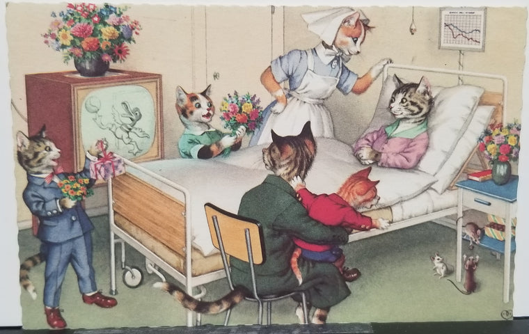 Alfred Mainzer Artist Postcard Humanized Cats Family Visiting Mother in Hospital Series 4931 Artist Hartung Anthropomorphic Animals Printed Belgium