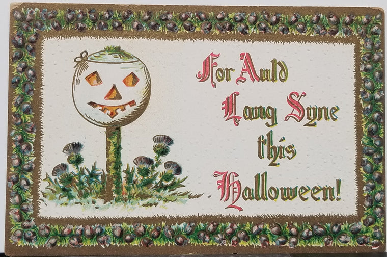 Halloween Postcard JOL Pumpkin Plant "For Auld Lang Syne this Halloween" Series 2040