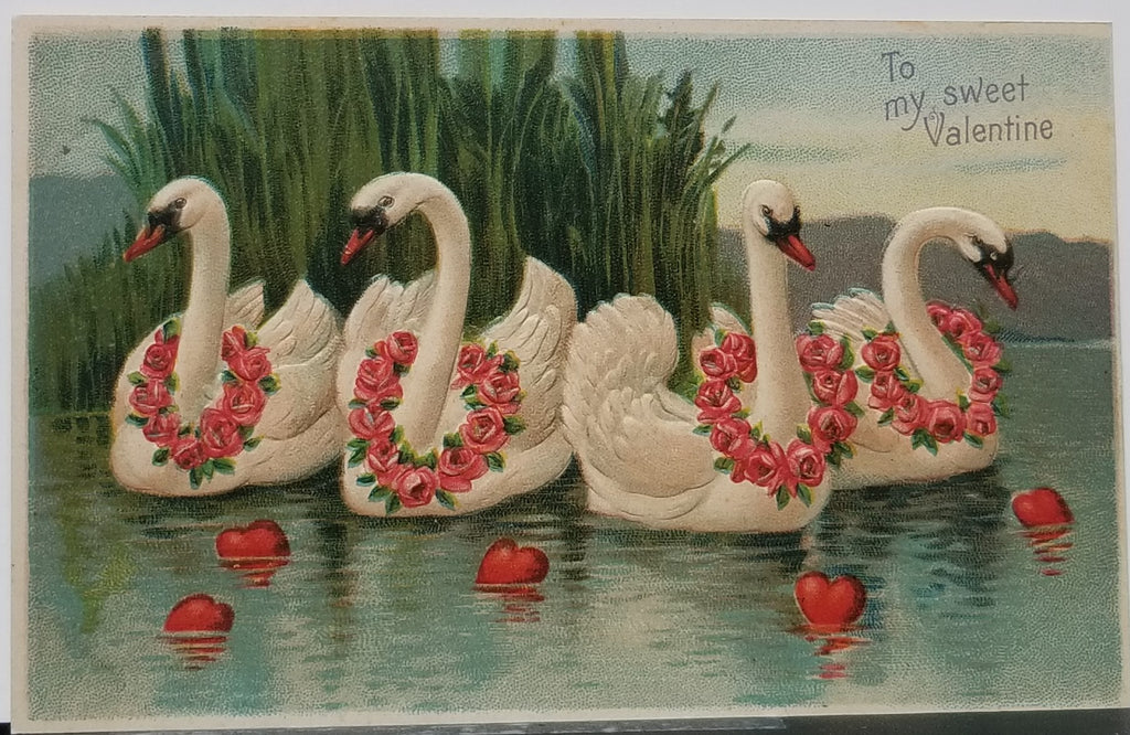 Valentine Postcard Group of Swans on Water With Pink Roses & Hearts Around Necks BW Series 306