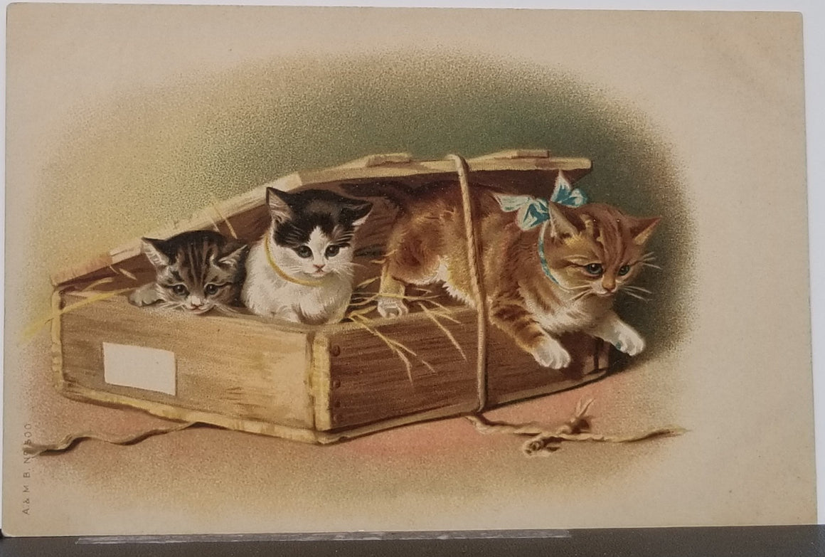 Artist Postcard Three Little Kittens Emerging From Crate