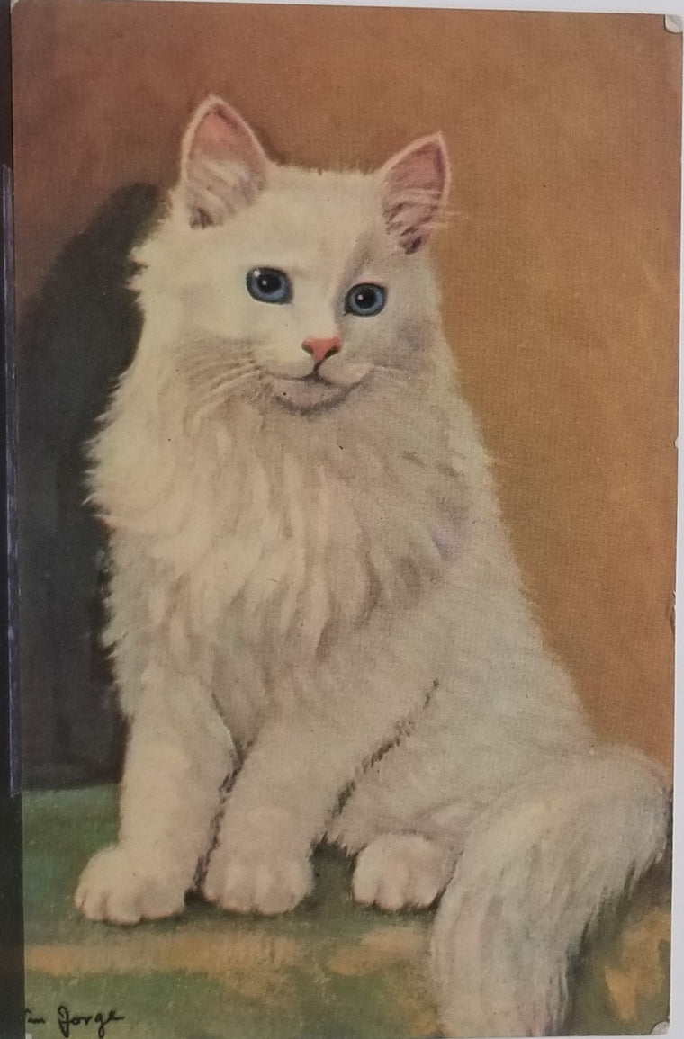 Cat Postcard White Long Hair Kitten with Blue Eyes Posing for Camera Artist Jorge NO 325