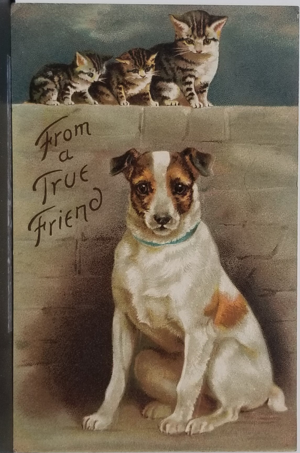 Artist Postcard Dog with Mother Cat and Baby Kittens on a Stone Wall Embossed Made in Germany
