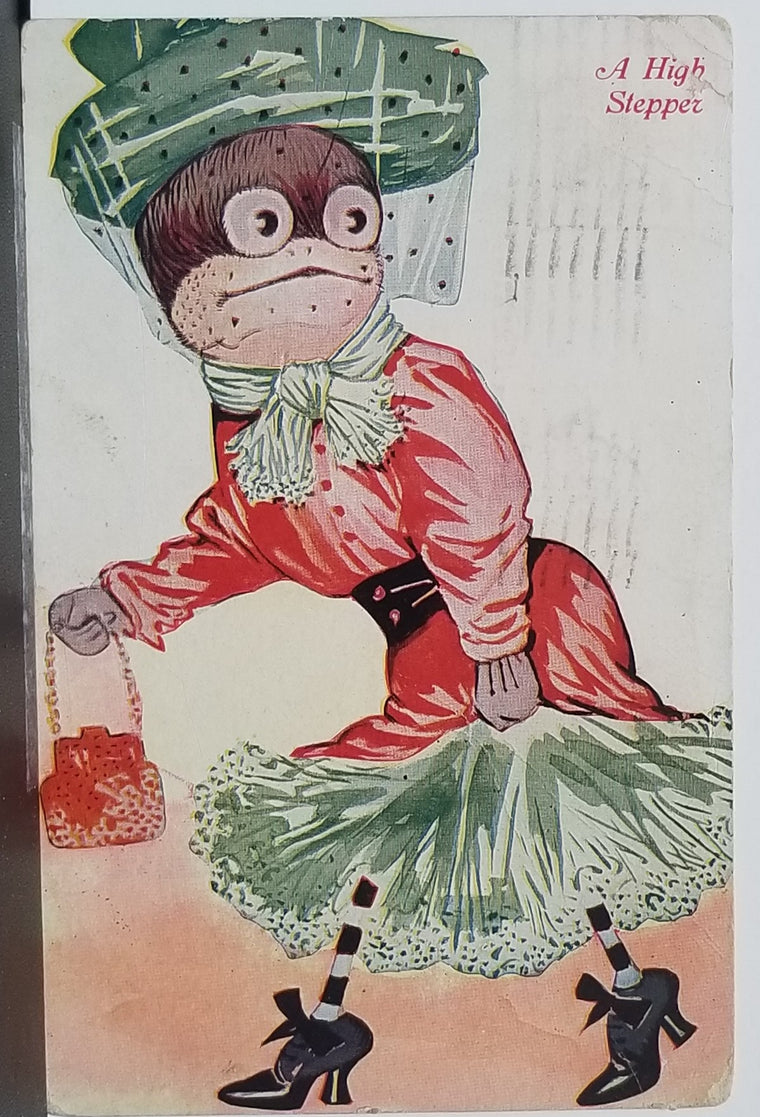 Anthropomorphic Postcard Frog in Dress with High Heels & Hat Titled High Stepper