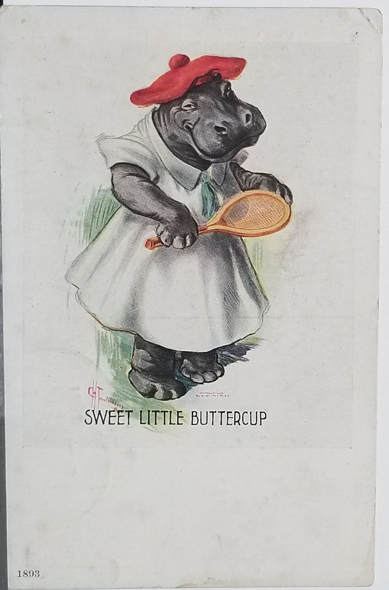 Anthropomorphic Hippo Playing Tennis Sweet Little Buttercup Artist Charles Twelvetrees