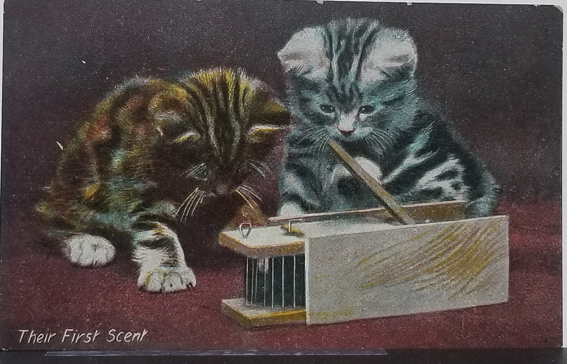 Cat Postcard Two Kittens Playing with Caged Mouse Titled First Scent