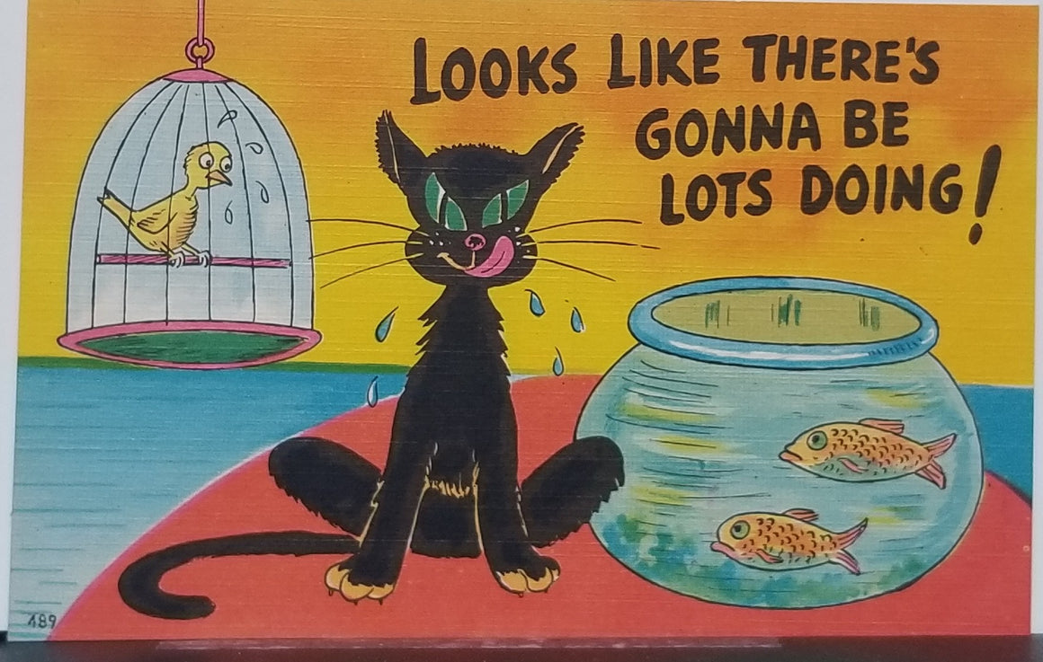 Comical Cat Postcard Black Kitty Licking Chops with Goldfish Bowl and Sweating Bird Linen Card