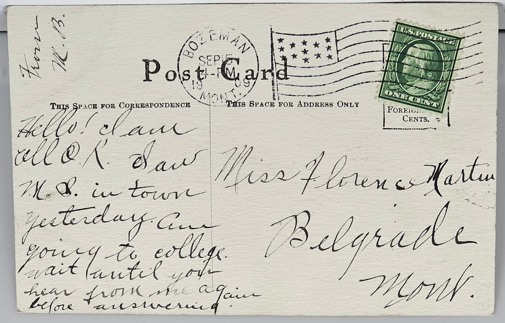 Artist Postcard Cobb Shinn Signed Art Nouveau Style Brunette Woman Smelling Flowers Hand Tinted 1908