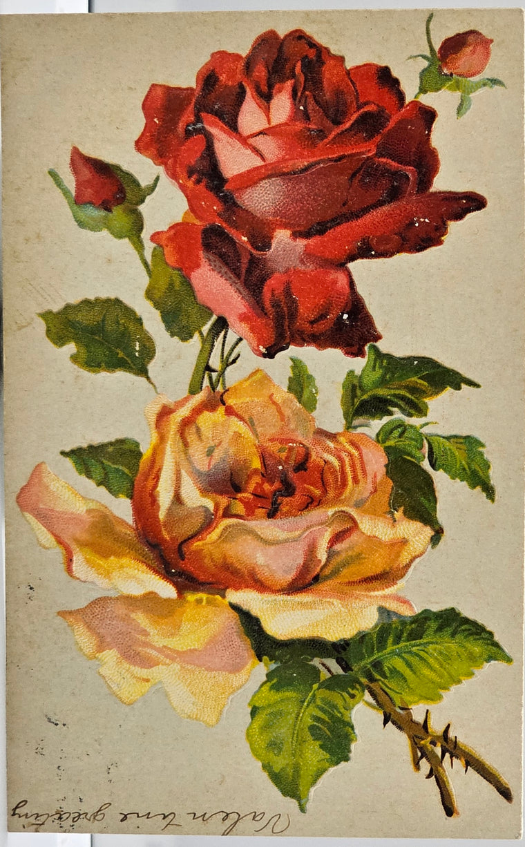 Flower Postcard Red & Yellow Roses Possibly Catherine Klein Embossed Made in Germany