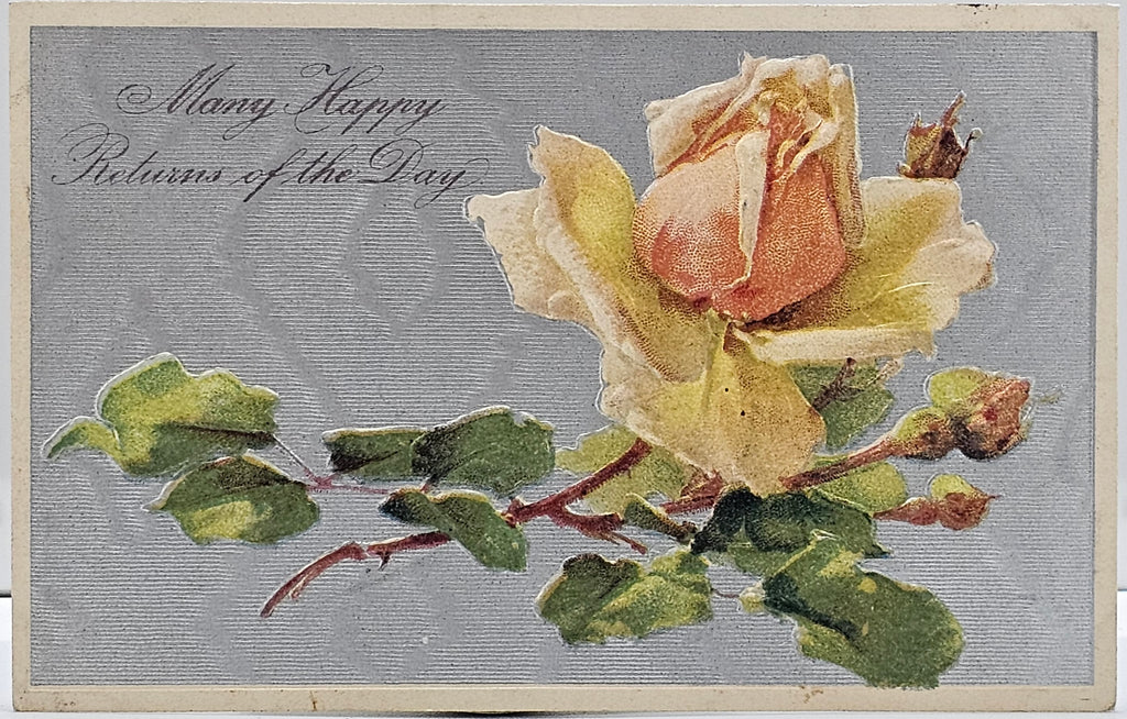 Flower Postcard Yellow Rose Possibly Catherine Klein Embossed Made in Germany PFB Pub Series 7360