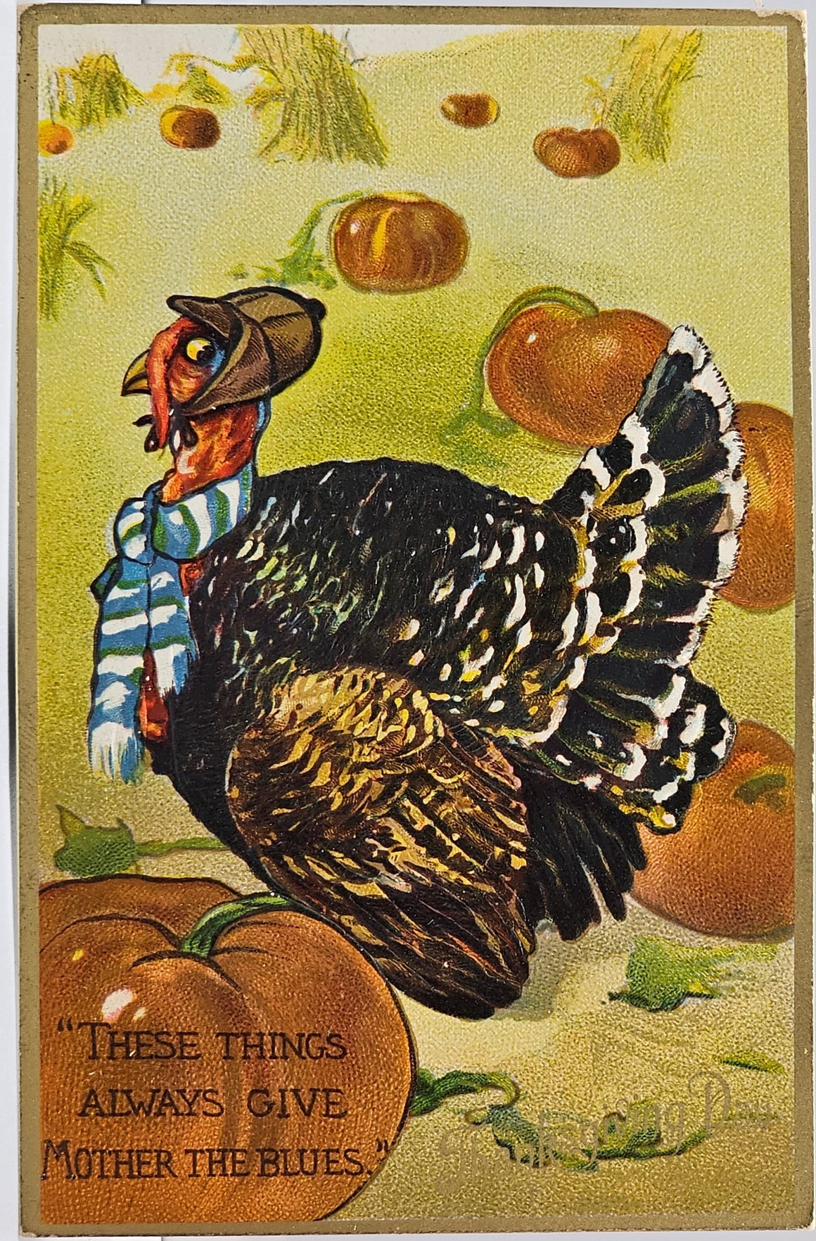 Thanksgiving Postcard Turkey in Hat Standing in Pumpkin Field Raphael Tuck Series 162