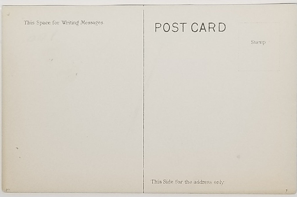 Woman Portrait Artist Postcard Lady in Victorian Gown Large Hat Black & White Monochromatic Card