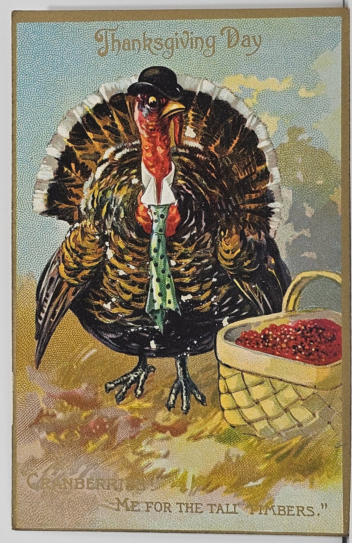 Thanksgiving Postcard Turkey Dressed in Tie Raphael Tuck Publishing Series 162