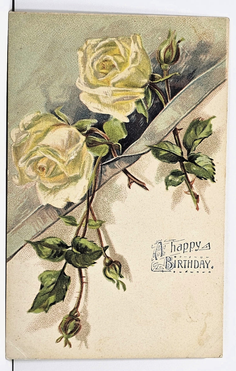 Flower Postcard Happy Birthday White Roses Against a Ribbon