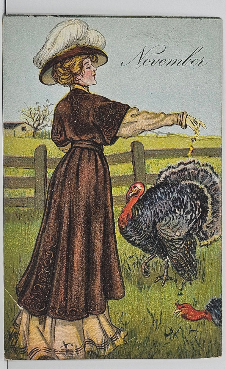 Thanksgiving Postcard Edwardian Woman Feeding Turkeys November Series 1925