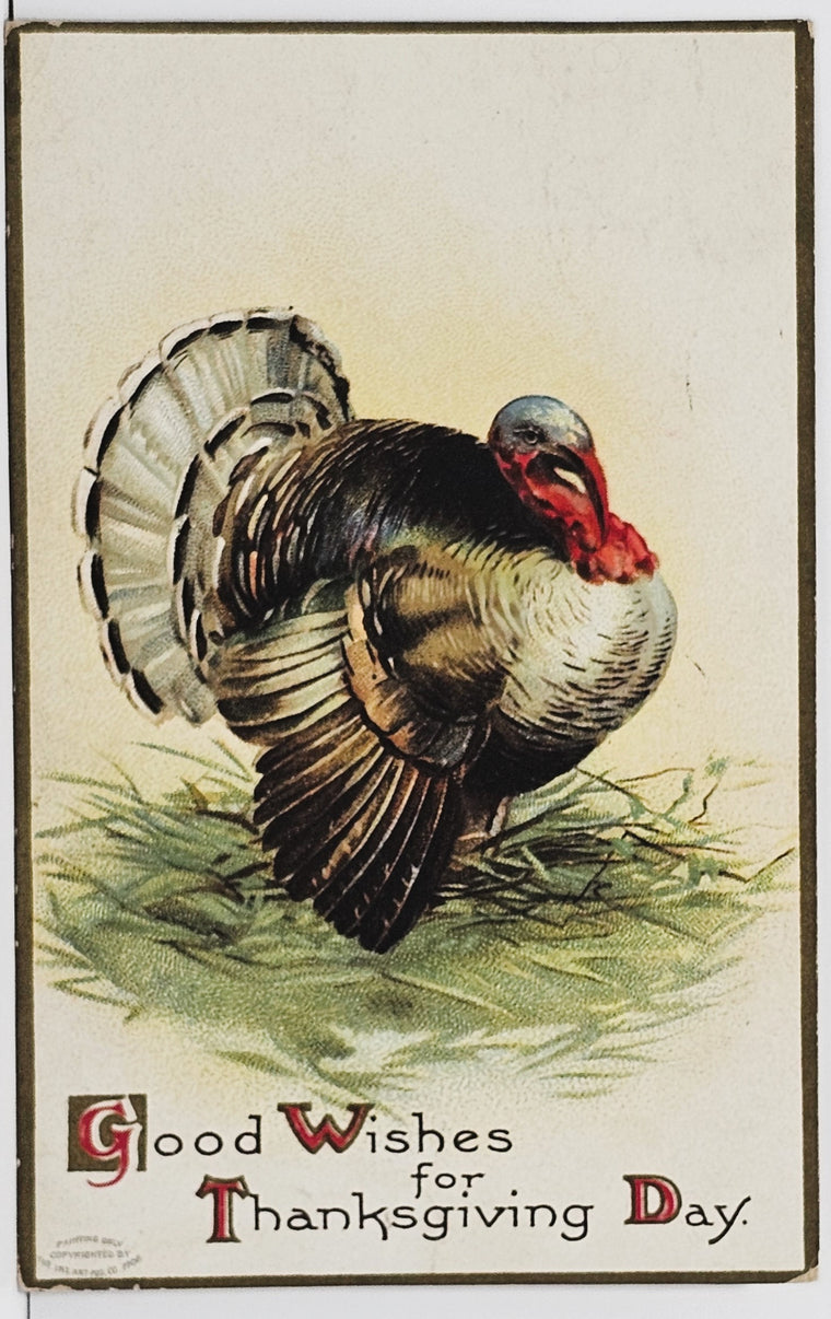 Thanksgiving Postcard Standing Turkey Good Wishes Intl Art Pub