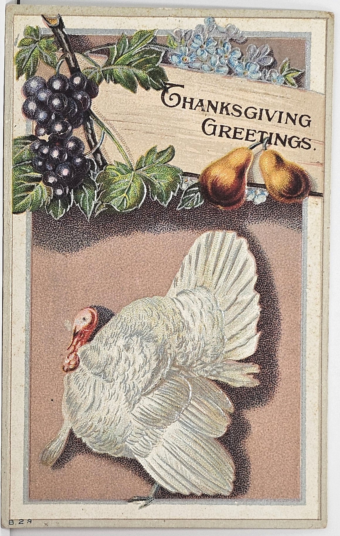 Thanksgiving Postcard White Turkey with Harvest Food Around Border
