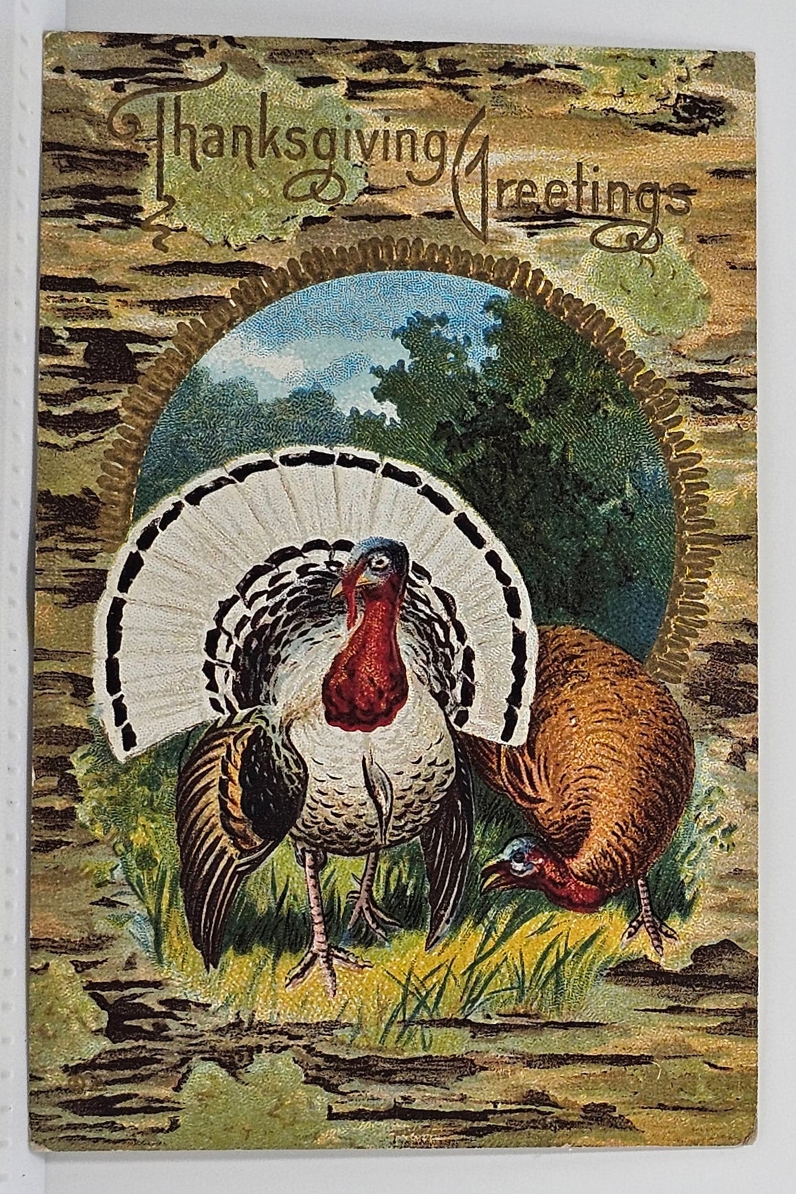 Patriotic Thanksgiving Postcard Gold Embossed Pair of Turkeys Series 20