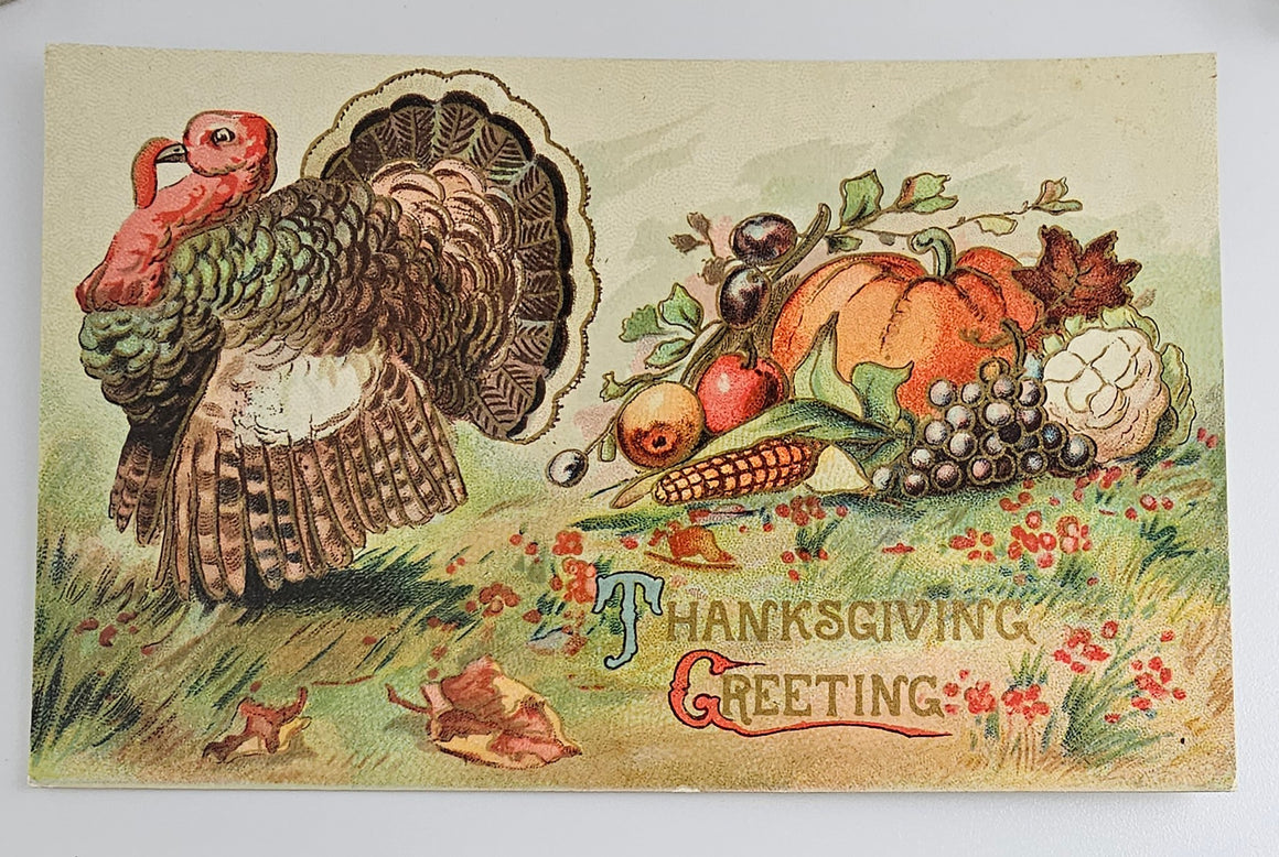 Thanksgiving Postcard Turkey with Fruit & Vegetable Harvest Series 0848 Gold Highlights