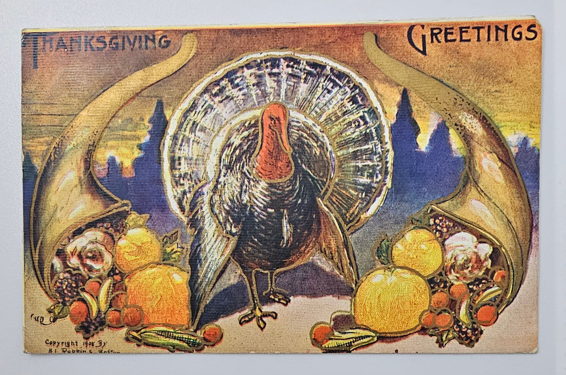Thanksgiving Postcard Turkey with Fruit & Vegetable Cornucopia Gold Highlights H. Robbins 1906