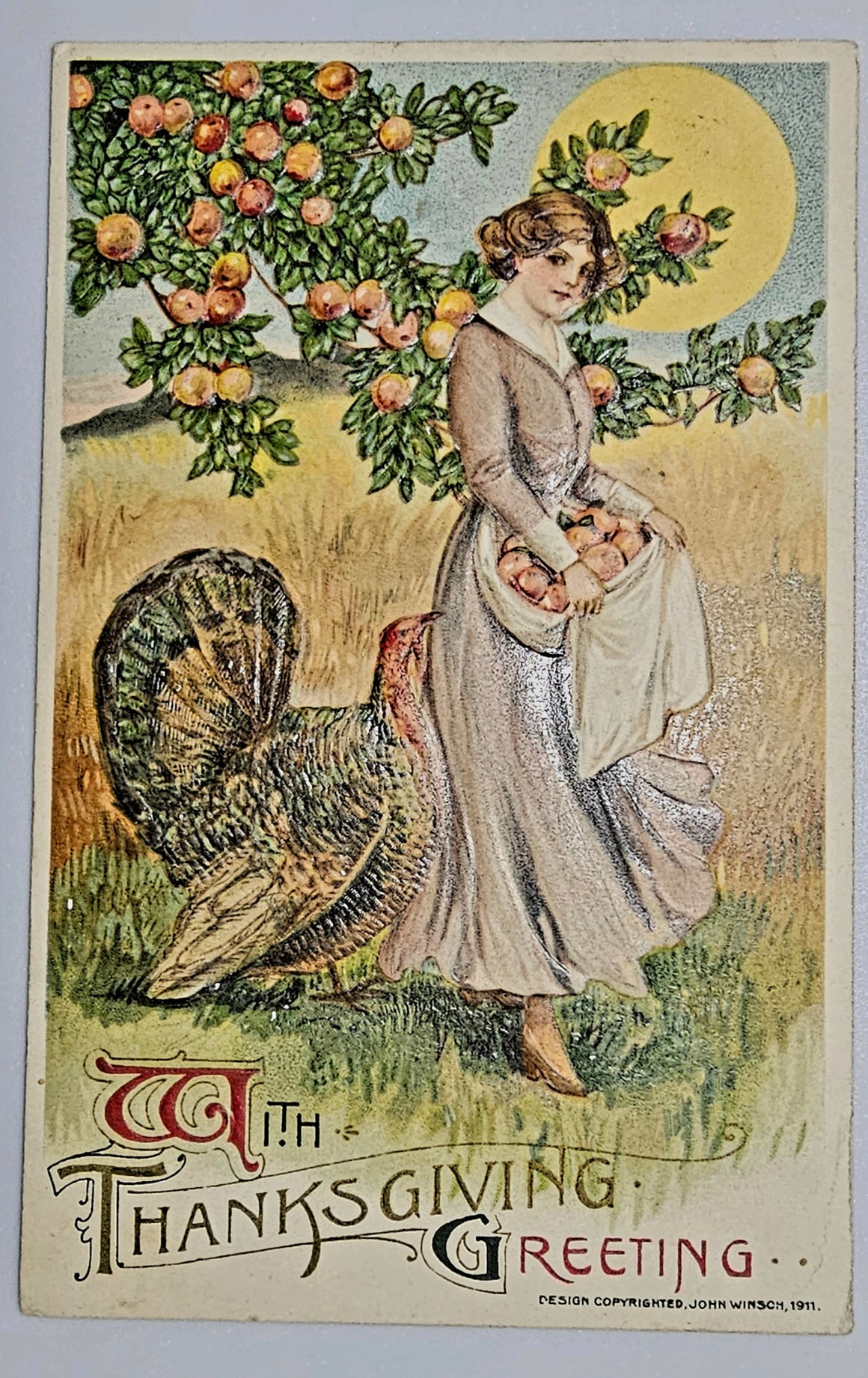 Thanksgiving Postcard John Winsch Woman Harvesting Apples Turkey Artist Schmucker