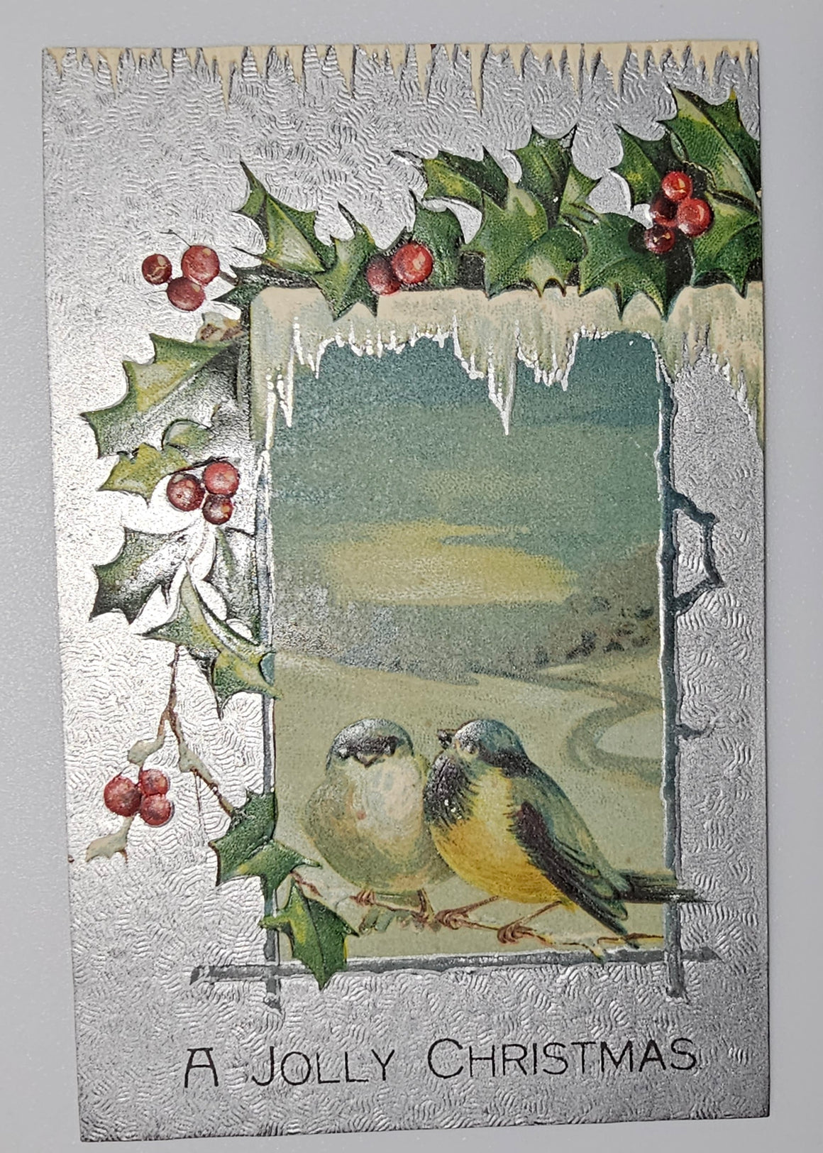Christmas Postcard Winter Birds Perched with Sunset Landscape Snow & Icicles IAP Series 885