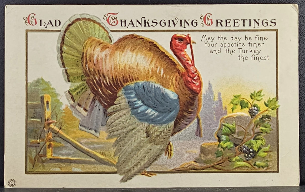 Thanksgiving Greetings Turkey Embossed Postcard Series 72 Stecher