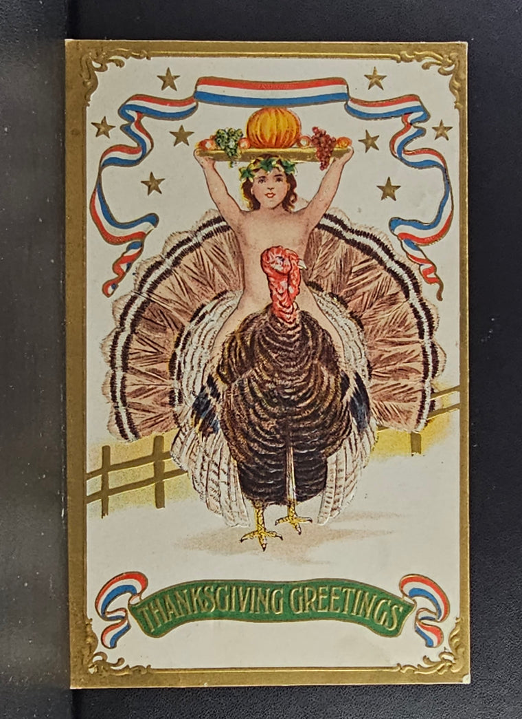 Patriotic Embossed Thanksgiving Postcard Cherub Riding Turkey