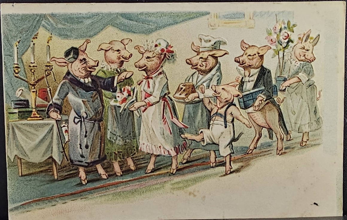 Rare Anthropomorphic Humanized Pigs Dressed for Dinner Party French Postcard 1907