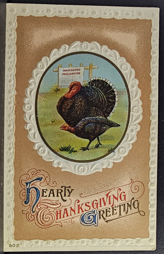 Thanksgiving Postcard Patriotic Themed Card Turkey Bird with Proclamation Sign Raised Embossed Border Series 802