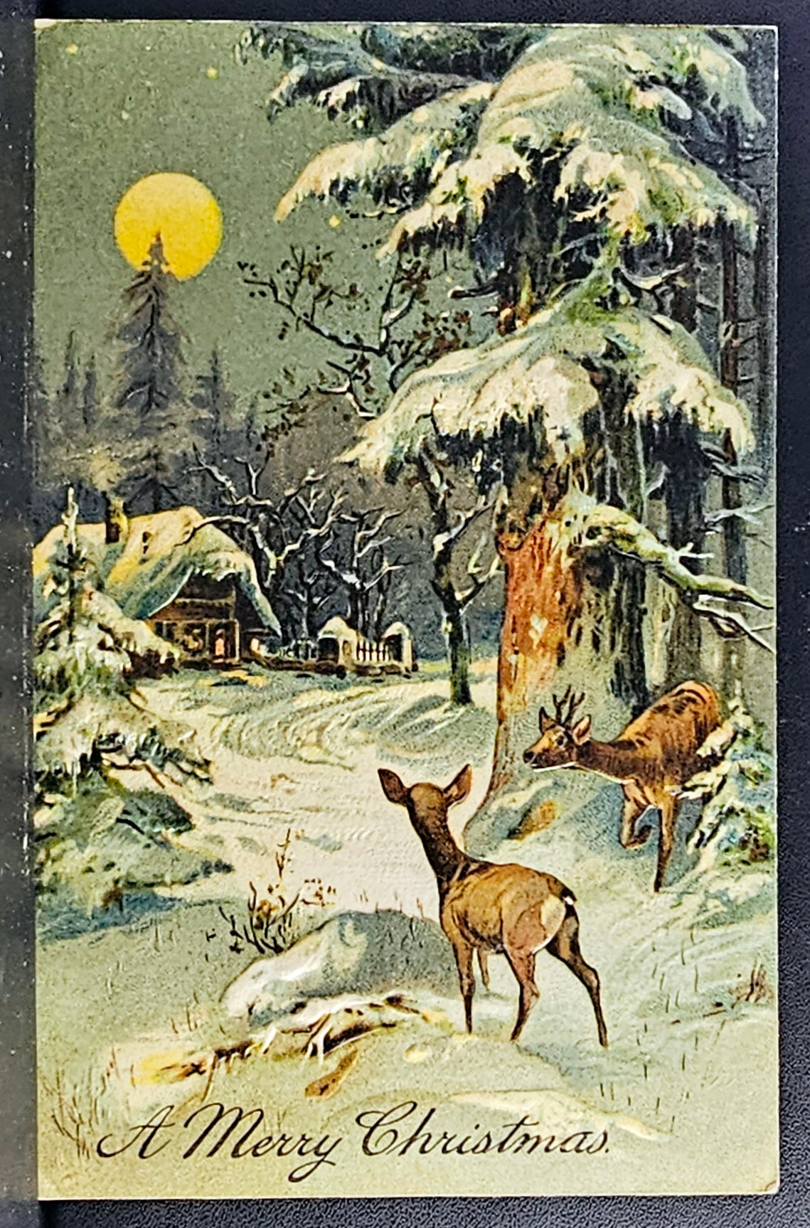 Christmas Postcard Deer in Winter Forest Under Moonlight PFB Publishing
