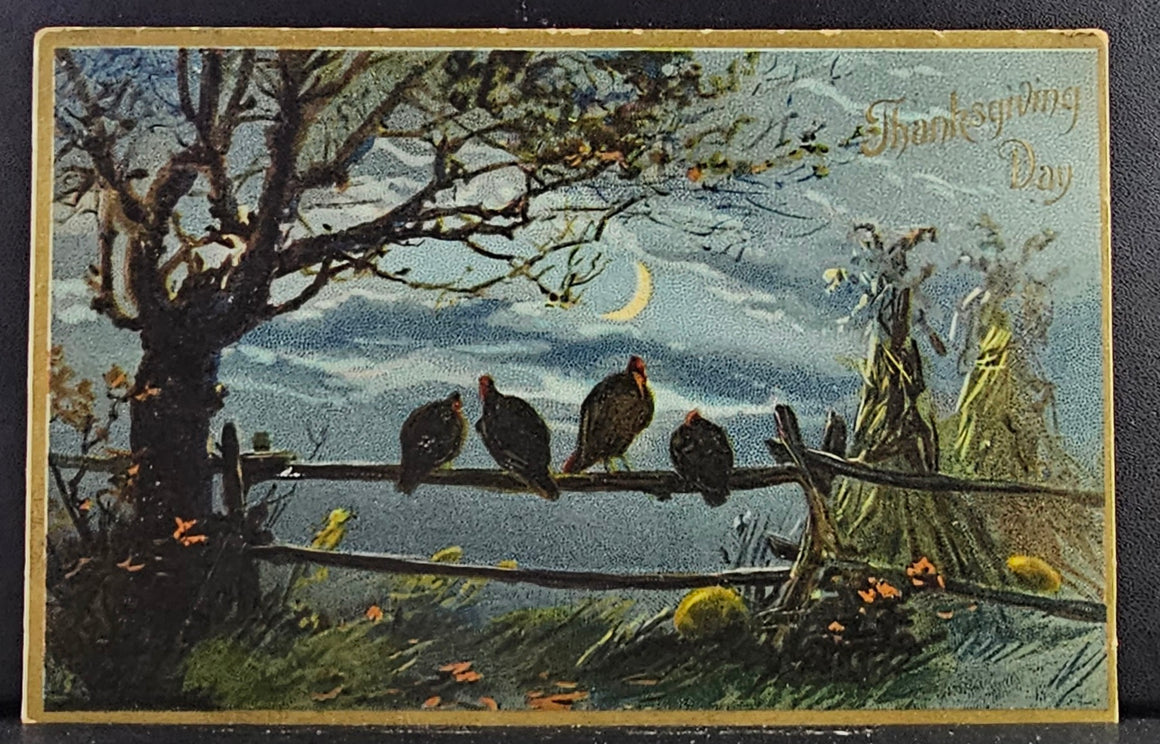 Thanksgiving Postcard Embossed Turkeys on Fence at Night Under Moon Tuck Publishing Series 123