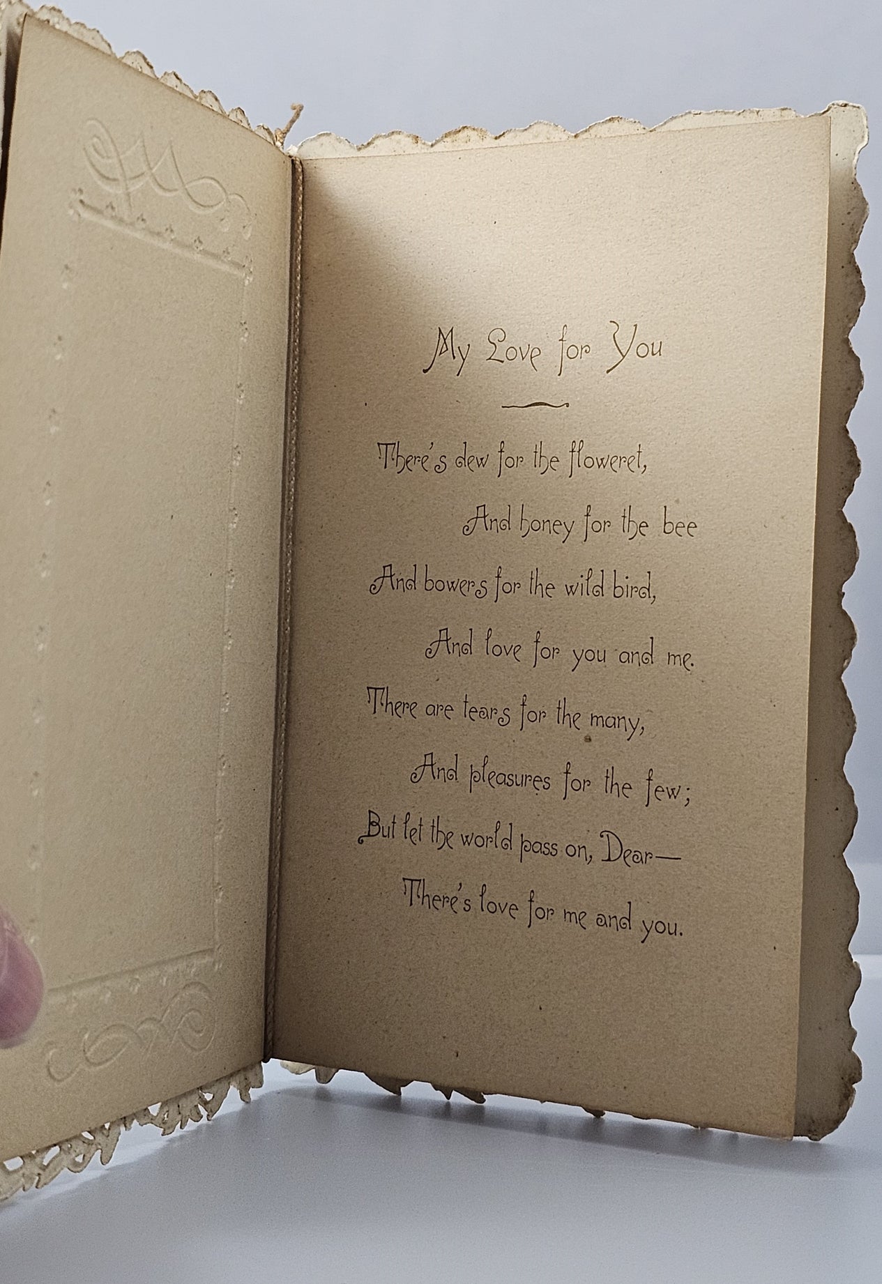 Die Cut Valentine Booklet Card Clapsaddle Little Girls Hearts Poem