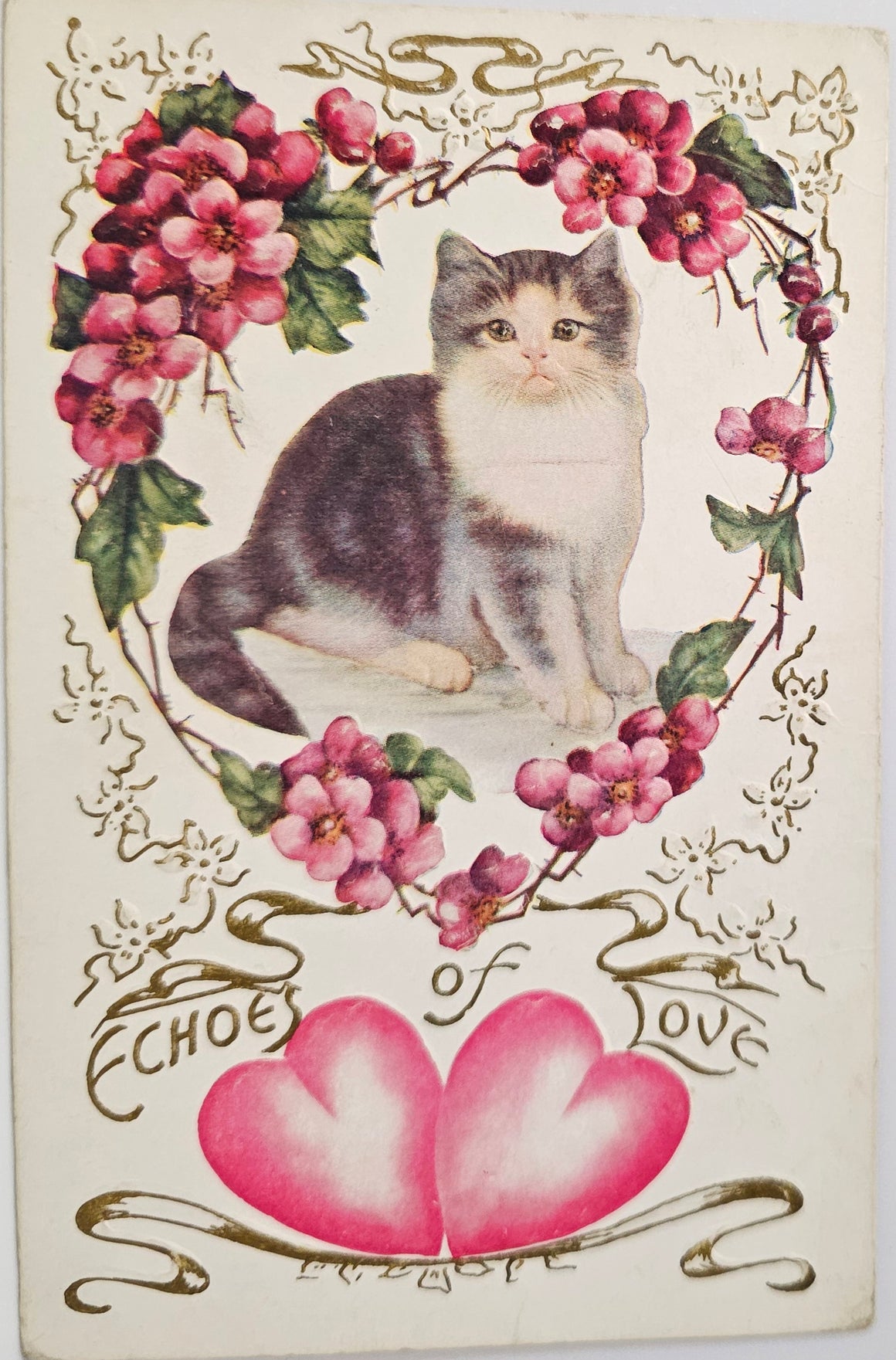 Valentine Postcard Kitty Cat with  Pink Flower Heart Border Printed in Germany Embossed Card