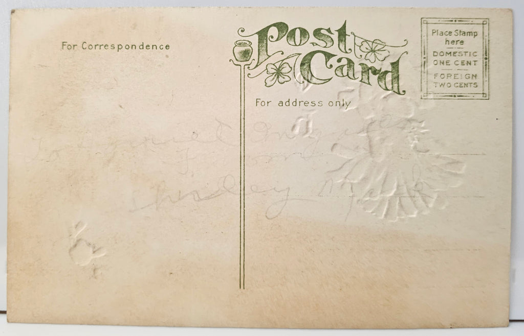 Valentine Postcard Daisy Flower Fairy Series 422 Embossed Art Nouveau Style Card