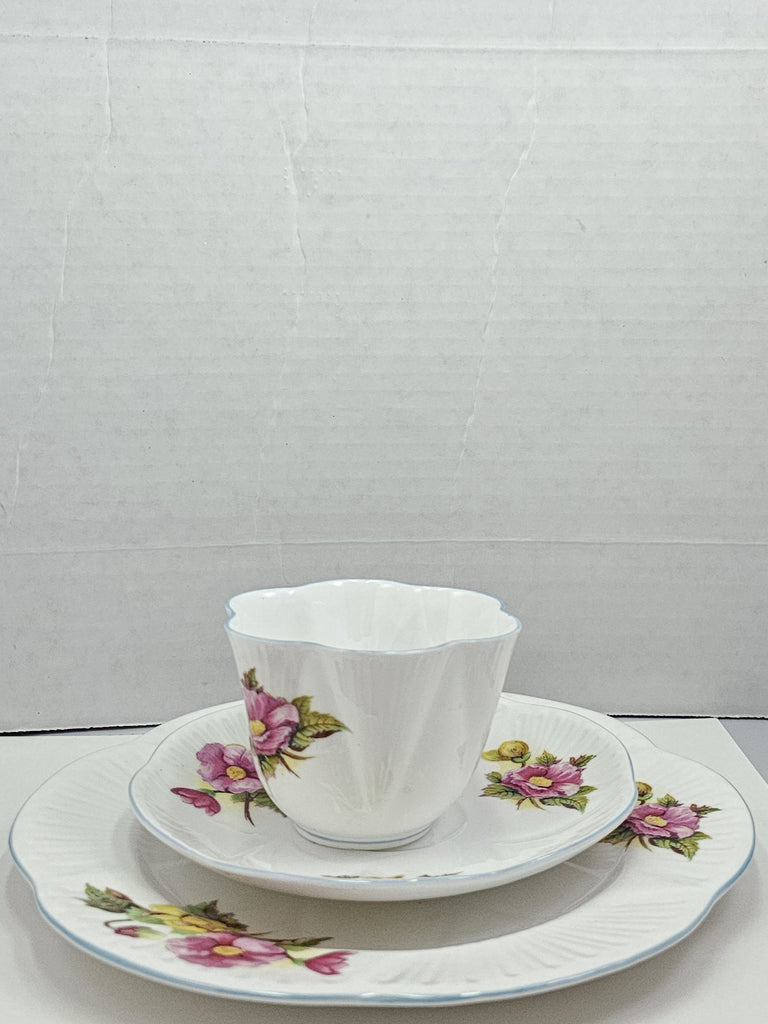 Shelley England Dainty Porcelain Cup Saucer Trio Begonia Pattern Cornflower Blue Trim