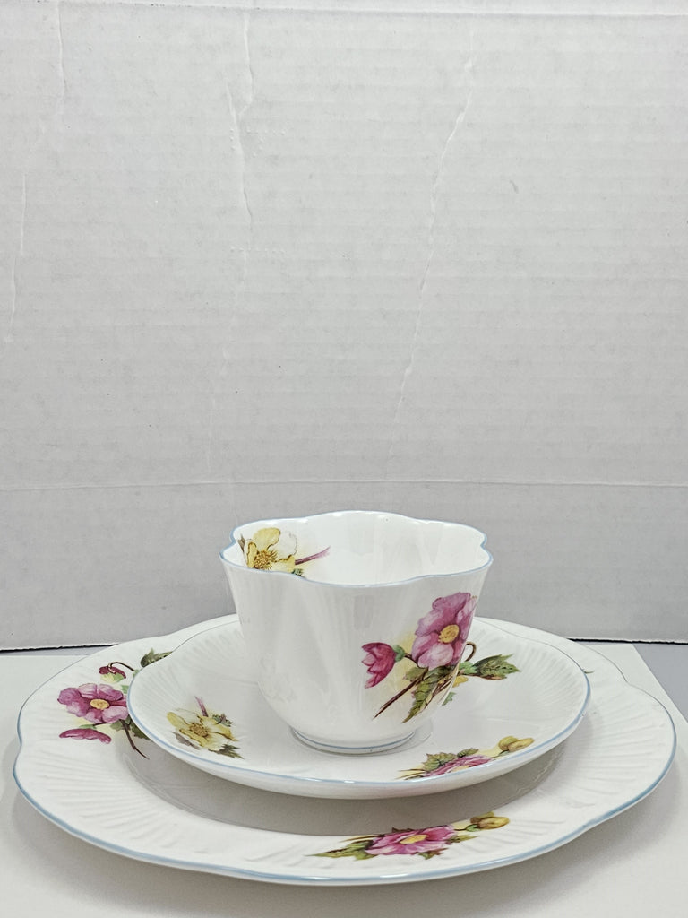 Shelley England Dainty Porcelain Cup Saucer Trio Begonia Pattern Cornflower Blue Trim