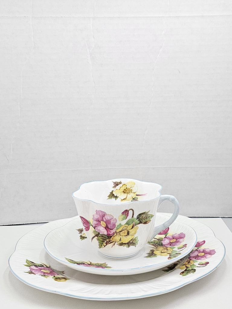 Shelley England Dainty Porcelain Cup Saucer Trio Begonia Pattern Cornflower Blue Trim