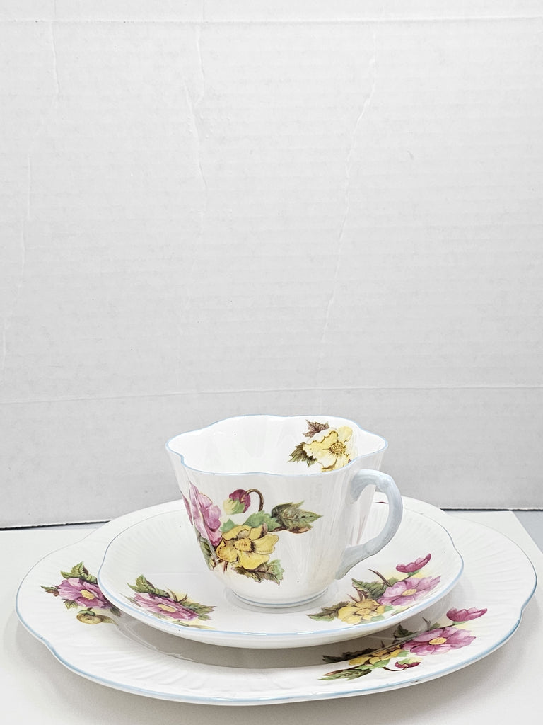 Shelley England Dainty Porcelain Cup Saucer Trio Begonia Pattern Cornflower Blue Trim