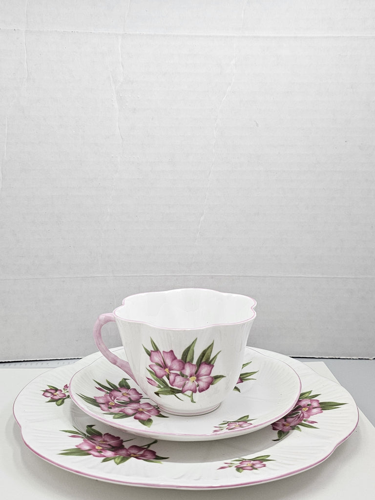 Shelley England Dainty Porcelain Cup Saucer Trio Pink Oleander Pattern Pink Trim