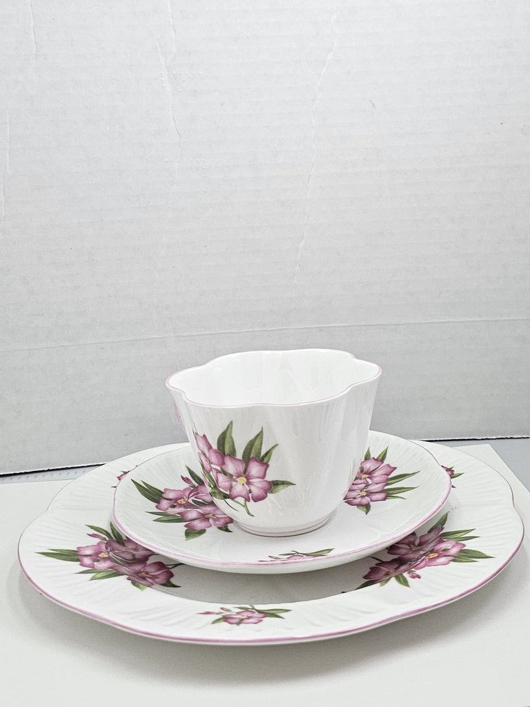 Shelley England Dainty Porcelain Cup Saucer Trio Pink Oleander Pattern Pink Trim