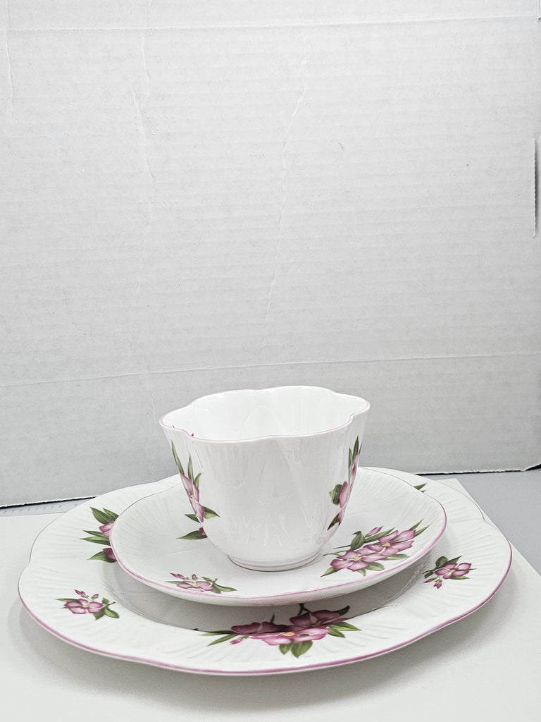 Shelley England Dainty Porcelain Cup Saucer Trio Pink Oleander Pattern Pink Trim